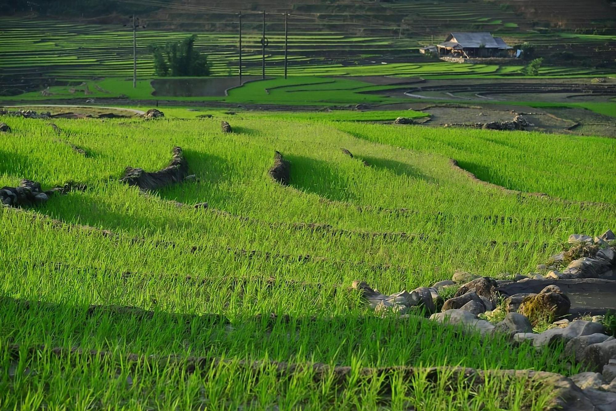 Sapa Mountain Resort Affiliated By Melia Exteriör bild